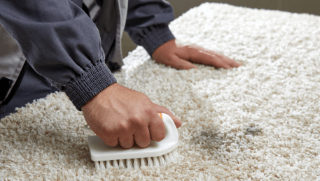 Professional Rug Cleaning Parkdale